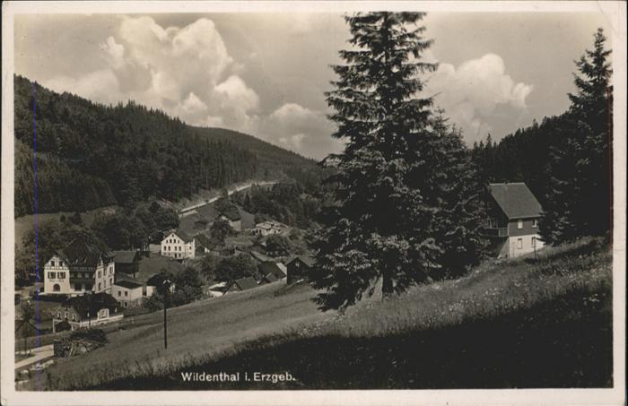 Wildenthal Eibenstock Erzgebirge