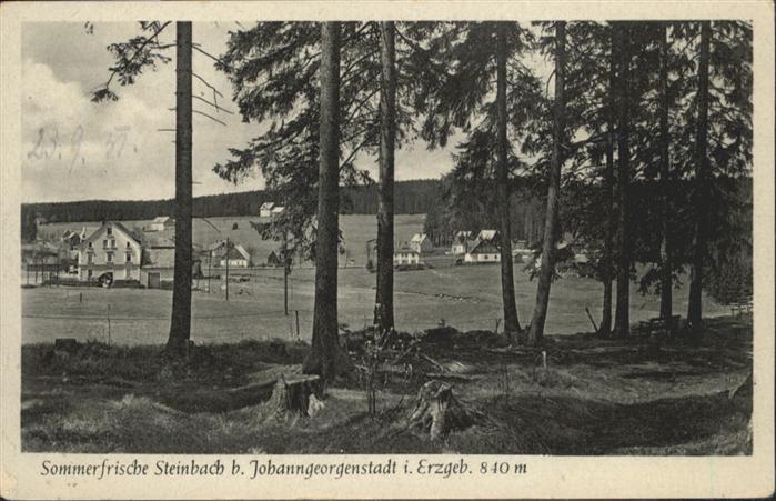 Steinbach Johanngeorgenstadt