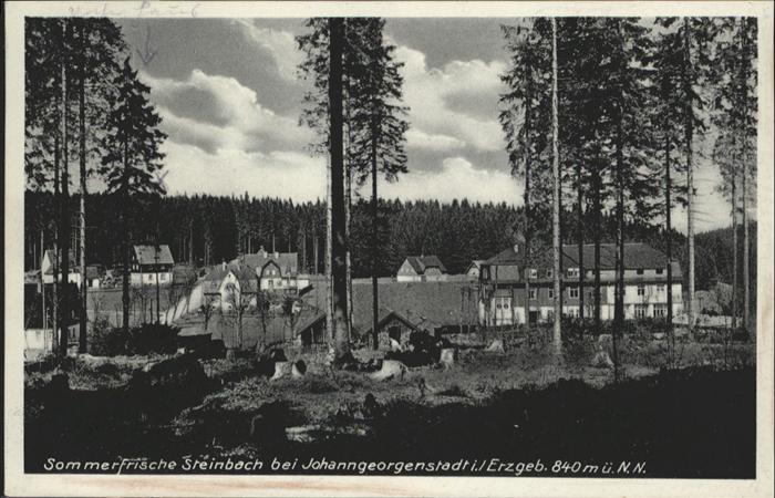 Steinbach Johanngeorgenstadt