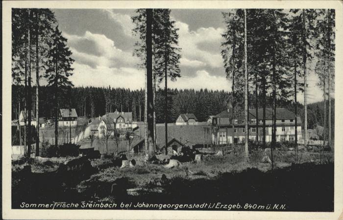 Steinbach Johanngeorgenstadt