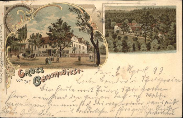 Baumwiese Dresdner Heide Litho