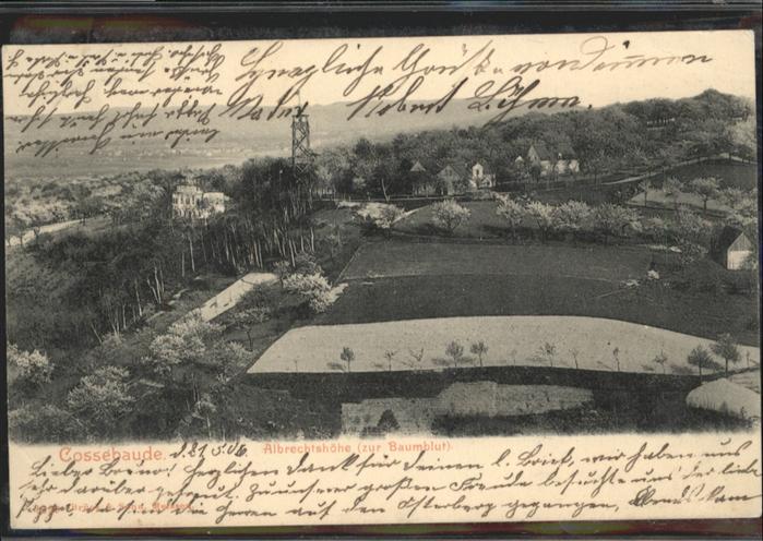 Cossebaude Albrechtshöhe Zur Baumblut