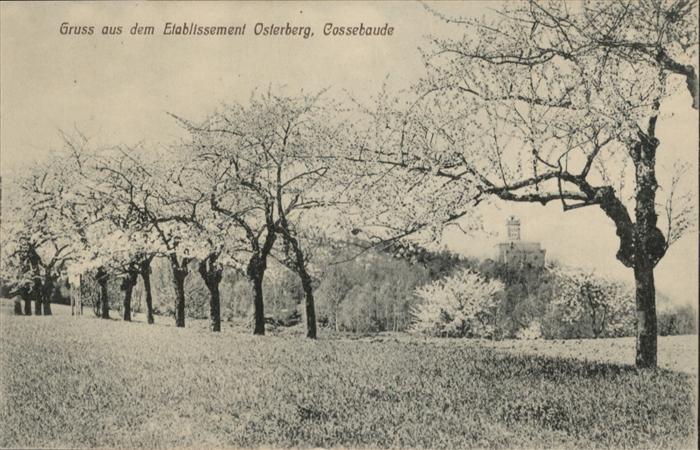 Cossebaude Etablissement Osterberg