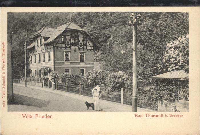 Tharandt Villa Frieden