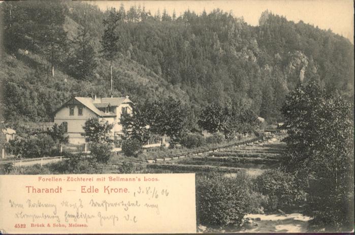 Edle Krone Bellmanns Loos