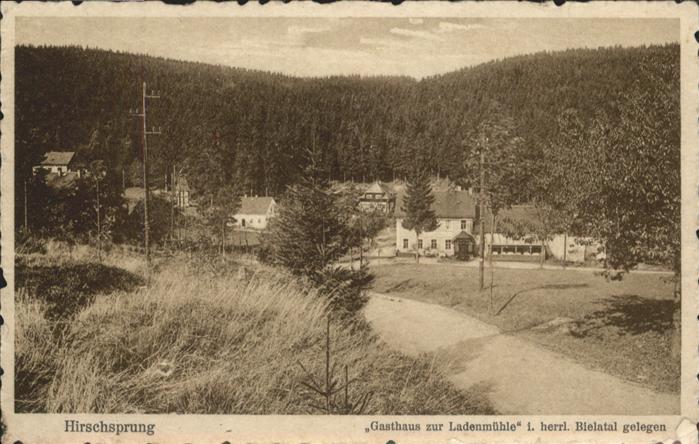 Hirschsprung Gasthaus zur Ladenmühle Bielatal Altenb