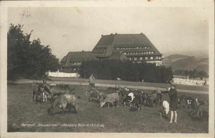 Altenberg Erzgebirge Berghof Raupennest