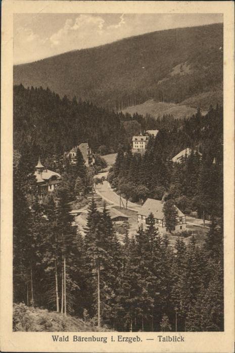 Baerenburg Sachsen Bärenburg Wald Erzgebirge