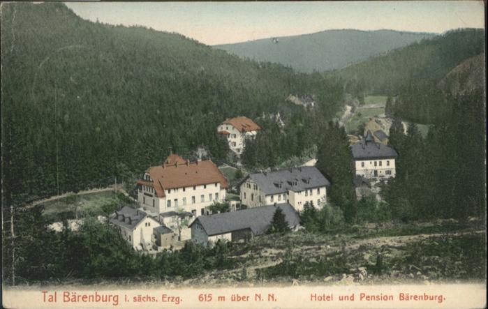 Baerenburg Sachsen Bärenburg Tal Erzgebirge Hotel Pension