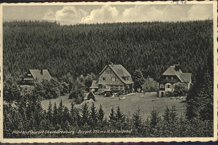 Oberbaerenburg Baerenburg Oberbärenburg Erzgebirge Haidehof