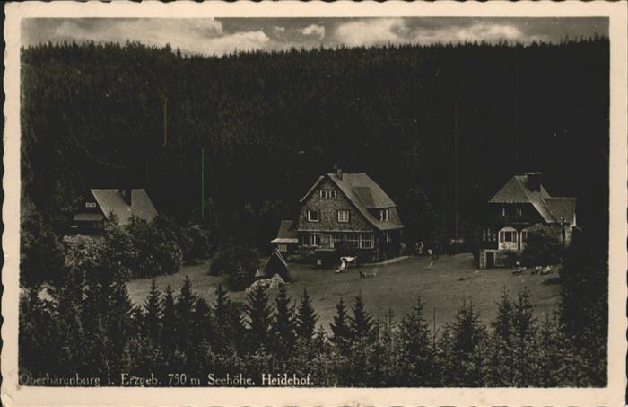 Oberbaerenburg Baerenburg Oberbärenburg Erzgebirge Heidehof