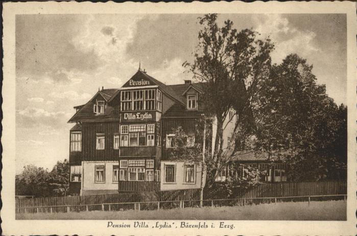 Baerenfels Erzgebirge ension Villa Lydia
