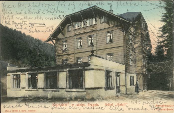 Kipsdorf Erzgebirge Hotel Halali