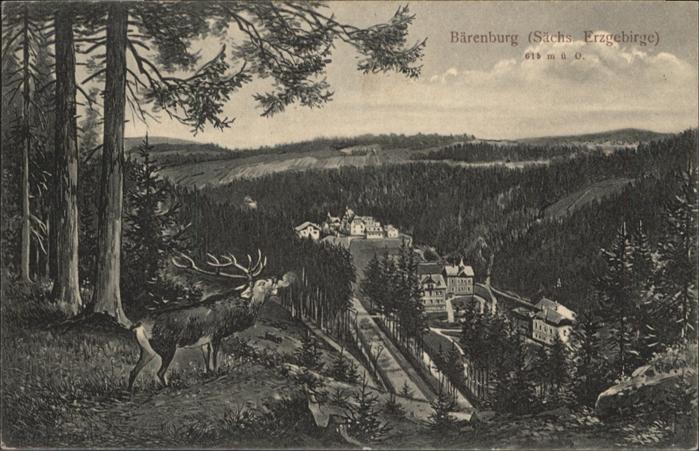 Baerenfels Erzgebirge irsch