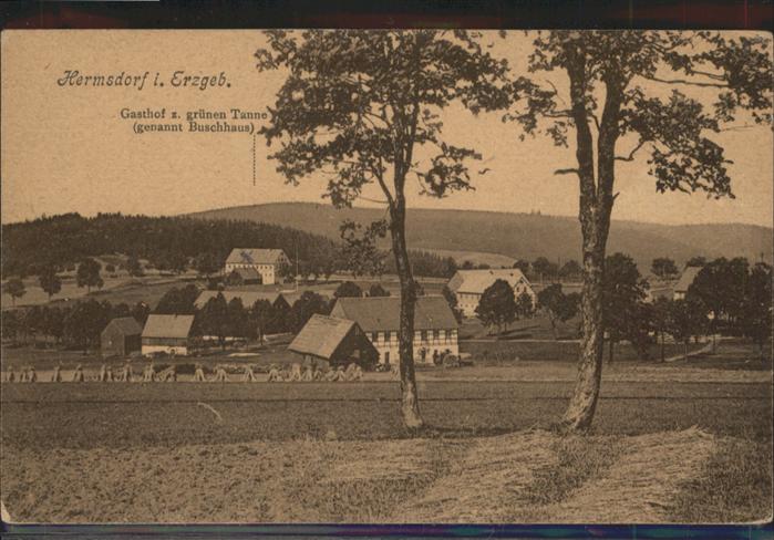 Hermsdorf Erzgebirge Gasthof zum grünen Tanne Buschhaus
