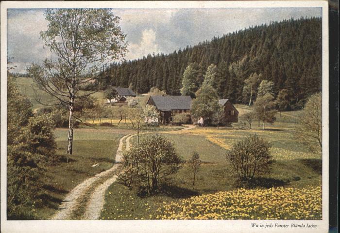 Reichenbach Vogtland [Verlag Carl Werner]