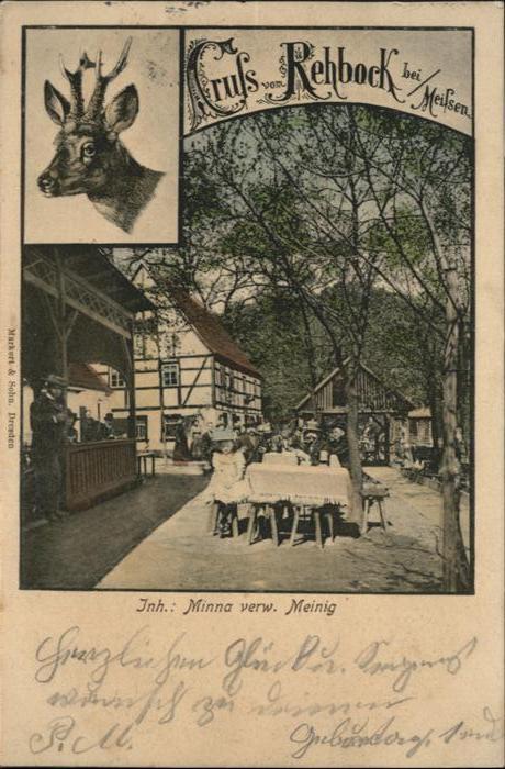 Meissen Elbe Sachsen Meissen Rehbock