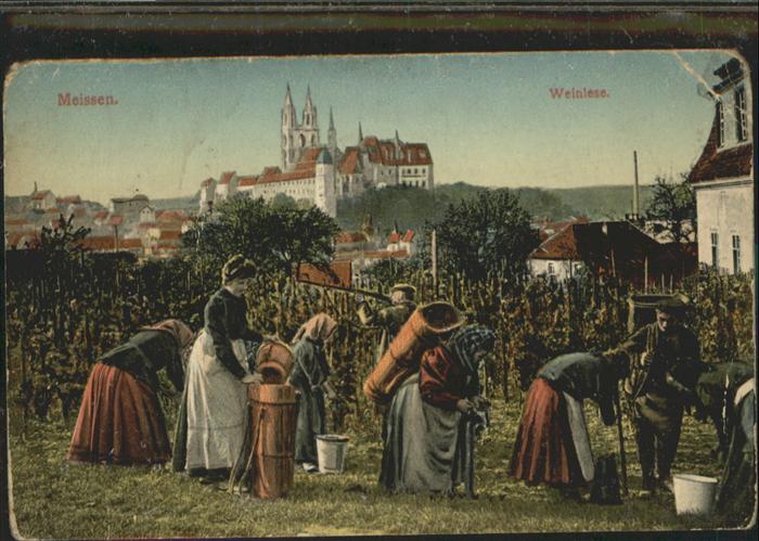 Meissen Elbe Sachsen Meissen Weinlese