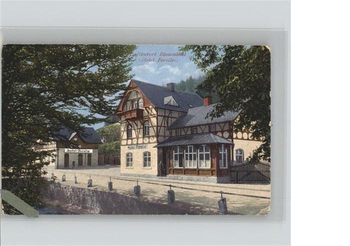 Blauenthal Erzgebirge Hotel Forelle