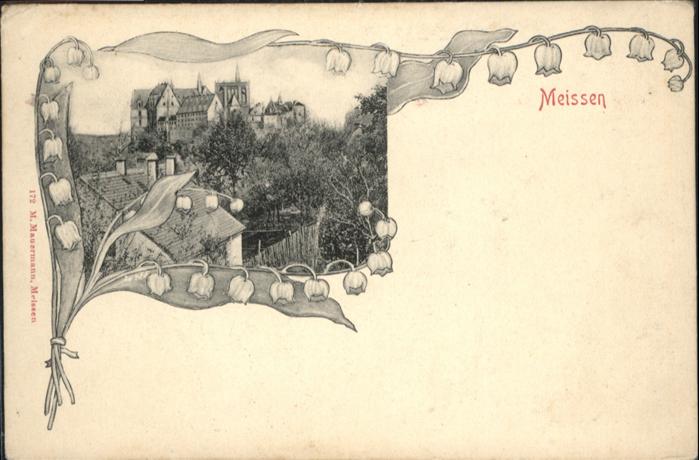 Meissen Elbe Sachsen Meissen Maiglöckchen