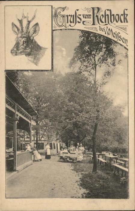 Meissen Elbe Sachsen Meissen Rehbock