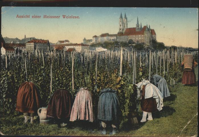 Meissen Elbe Sachsen Meissen Weinlese