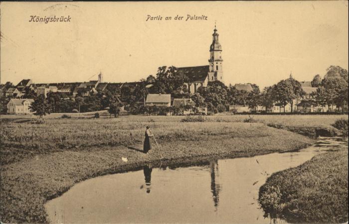 Koenigsbrueck lsnitz x