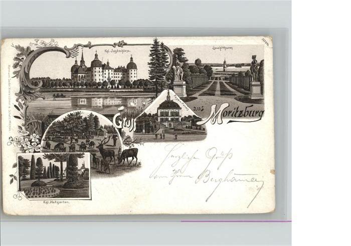 Moritzburg Sachsen Moritzburg Jagd Schloss Leuchtthurm Hir