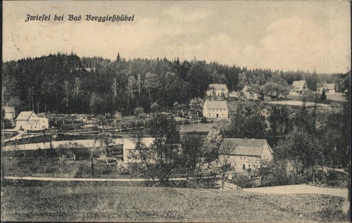 Zwiesel Bad Gottleuba-Berggiesshuebel