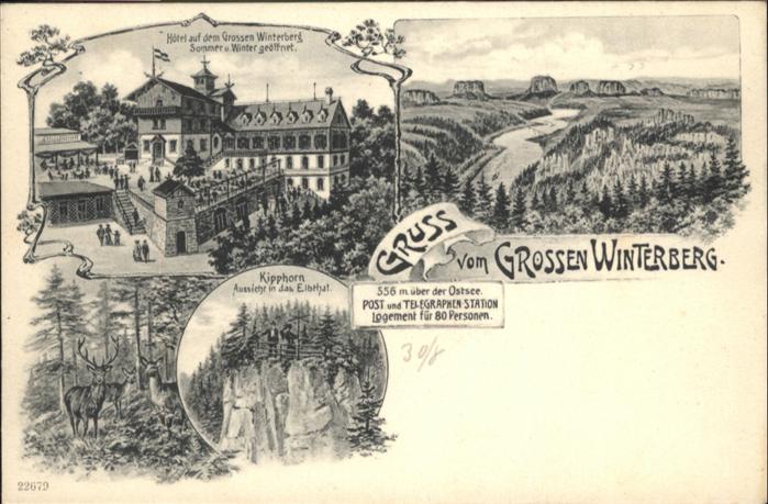 Bad Schandau Grossen Winterberg Hotel Kipphorn Hirsc