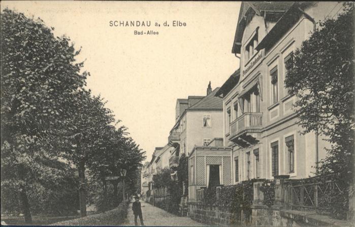 Bad Schandau Bad Allee