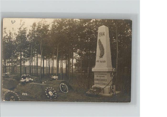 Koenigsbrueck nkmal *