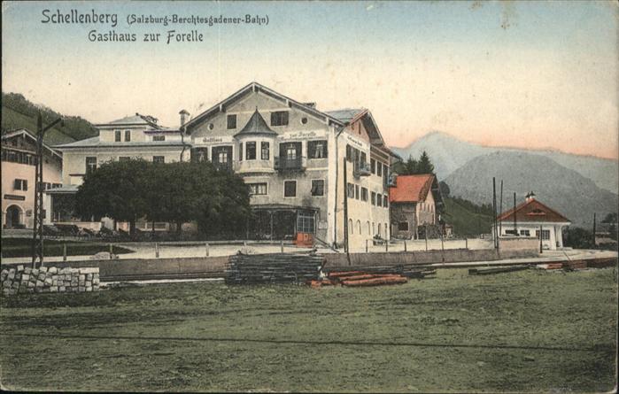 Schellenberg Sachsen Schellenberg Gasthaus zur Forelle