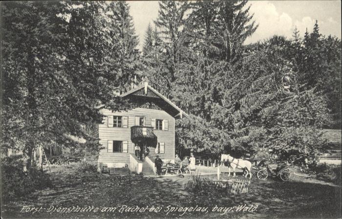 Spiegelau Rachel Forstdiensthütte