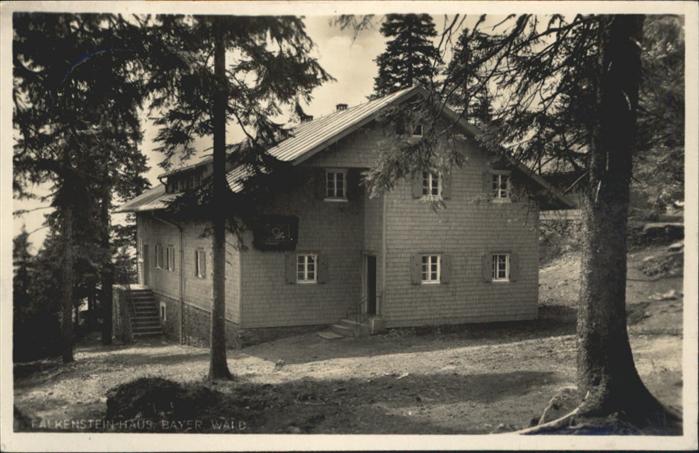 Zwiesel Niederbayern Falkensteinhaus