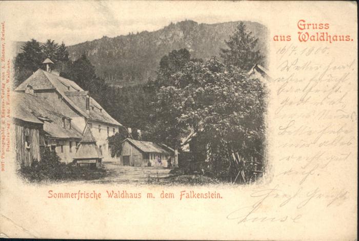 Waldhaus Falkenstein