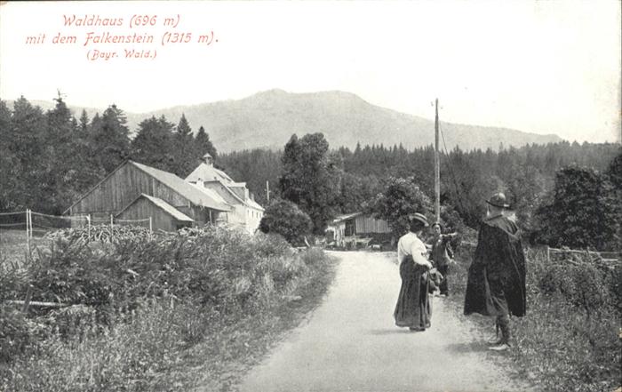 Waldhaus Falkenstein