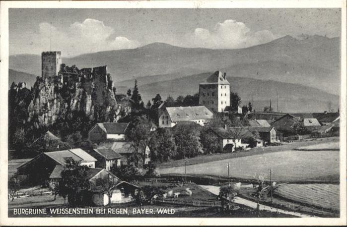 Weissenstein Regen Burgruine Weissenstein
