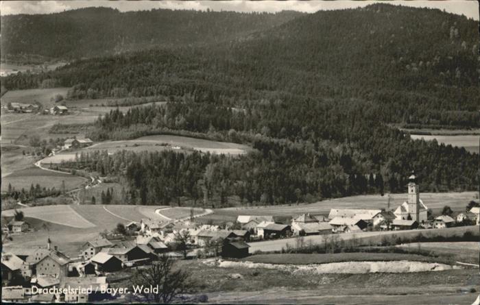 Drachselried