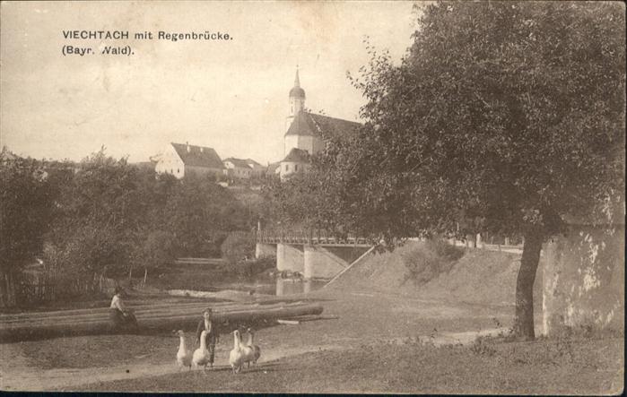 Viechtach Bayerischer Wald Regenbrücke Enten