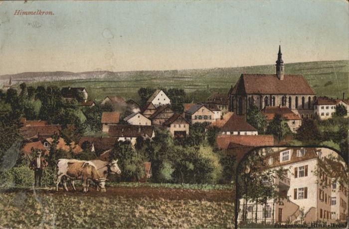 Himmelkron Kirche Kühe