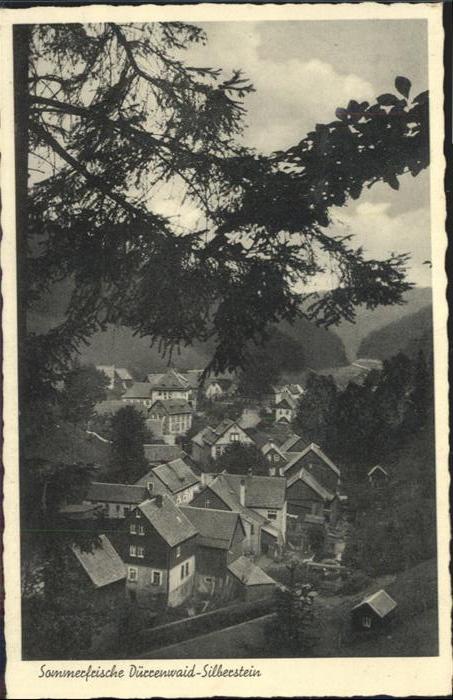 Duerrenwaid Silberstein