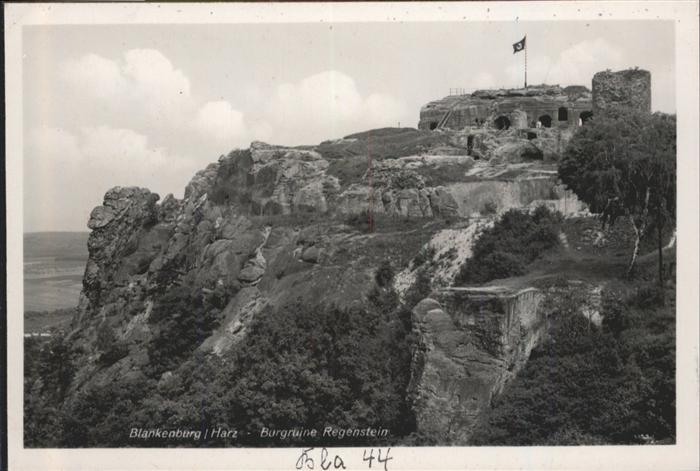 Blankenburg Harz Burgruine Regenstein NZ4