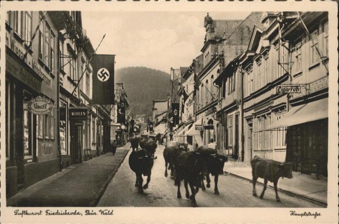 Friedrichroda Hauptstrasse Kühe