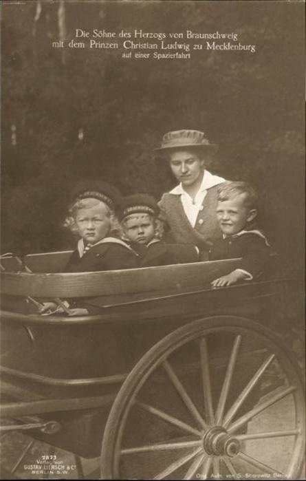 Adel Braunschweig Prinz Christian Ludwig Mec