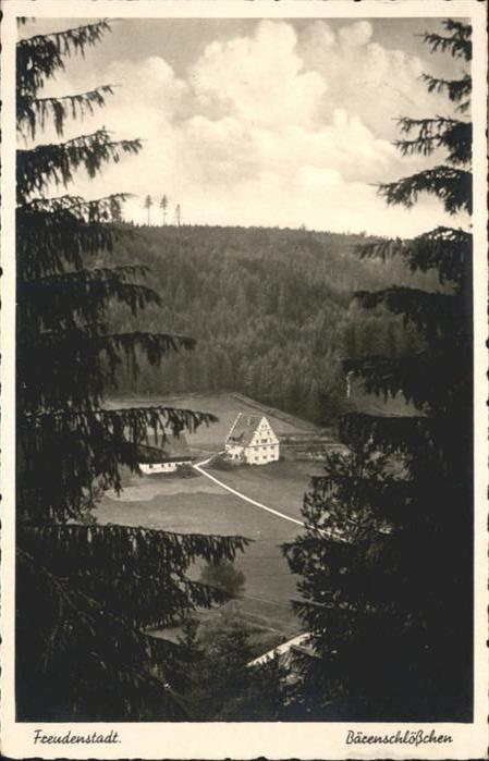 FREUDENSTADT BW Baerenschloesschen