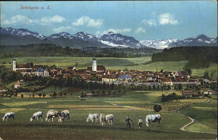 Schongau Kühe