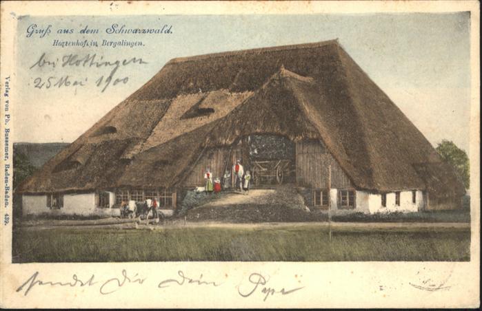 Bergalingen Hotzenhof