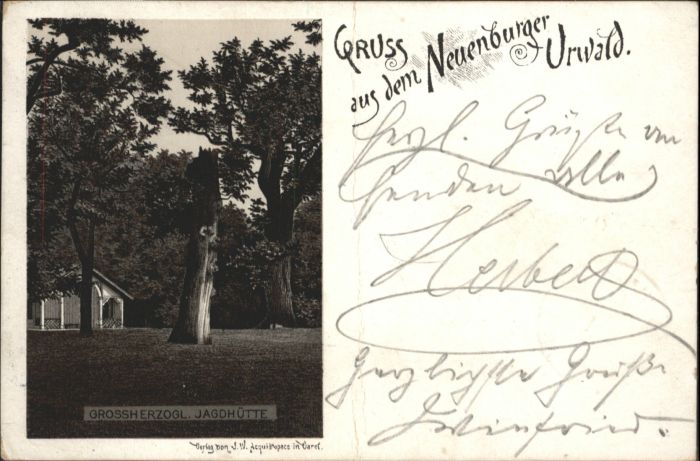 Neuenburg Friesland Urwald Jagdhütte