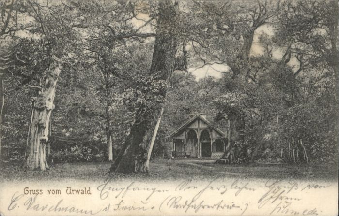 Neuenburg Friesland Urwald